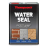 Thompson's Water Seal 5L Clear