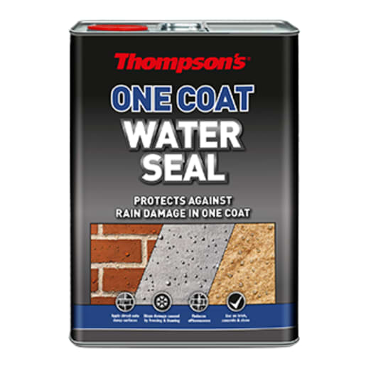 Thompson's One Coat Water Seal 5L Clear